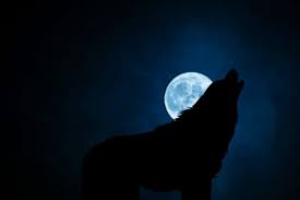 Werewolf spells that don't need a full moon